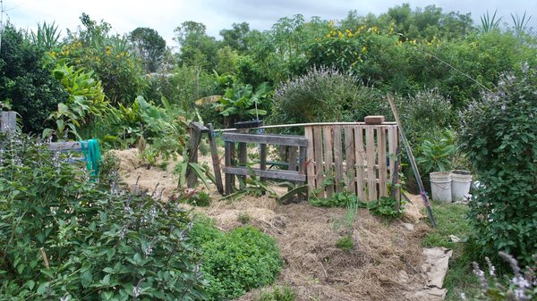 Comment utiliser la permaculture pour concevoir un jardin autosuffisant en milieu urbain?