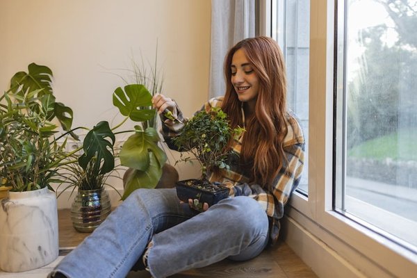 Techniques avancées de taille des bonsaïs pour débutants