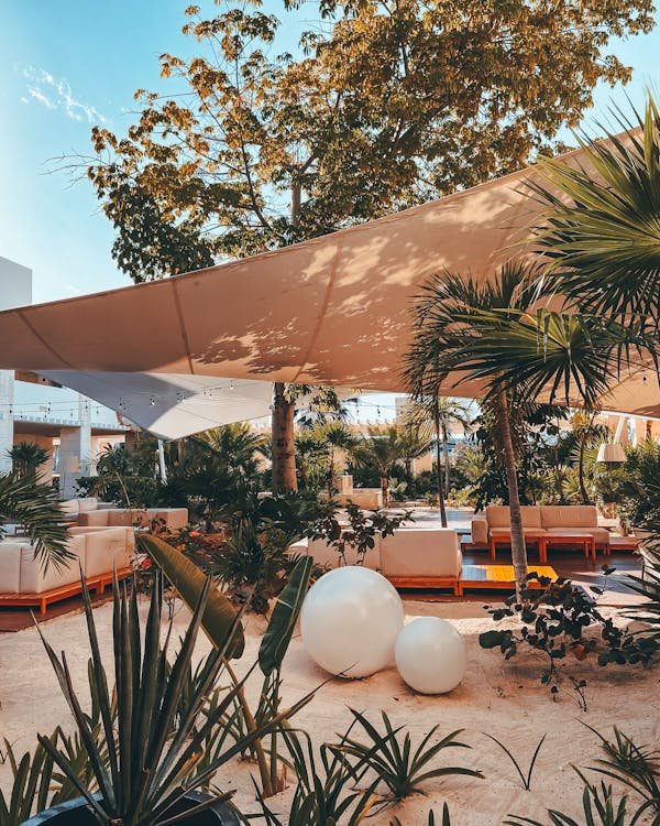 Toile de coco : apportez fraîcheur et style à votre extérieur